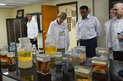 Seychelles and Cuba Consolidates Health Relations Seychelles and Cuba Consolidates Health Relations