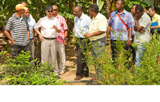 Agriculture Sector Moving Forward in Development